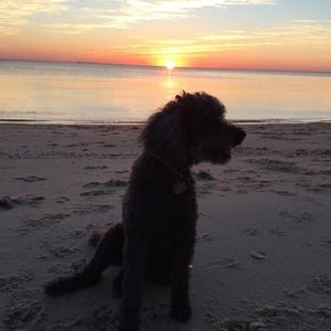 Meet your Posher, Whitney